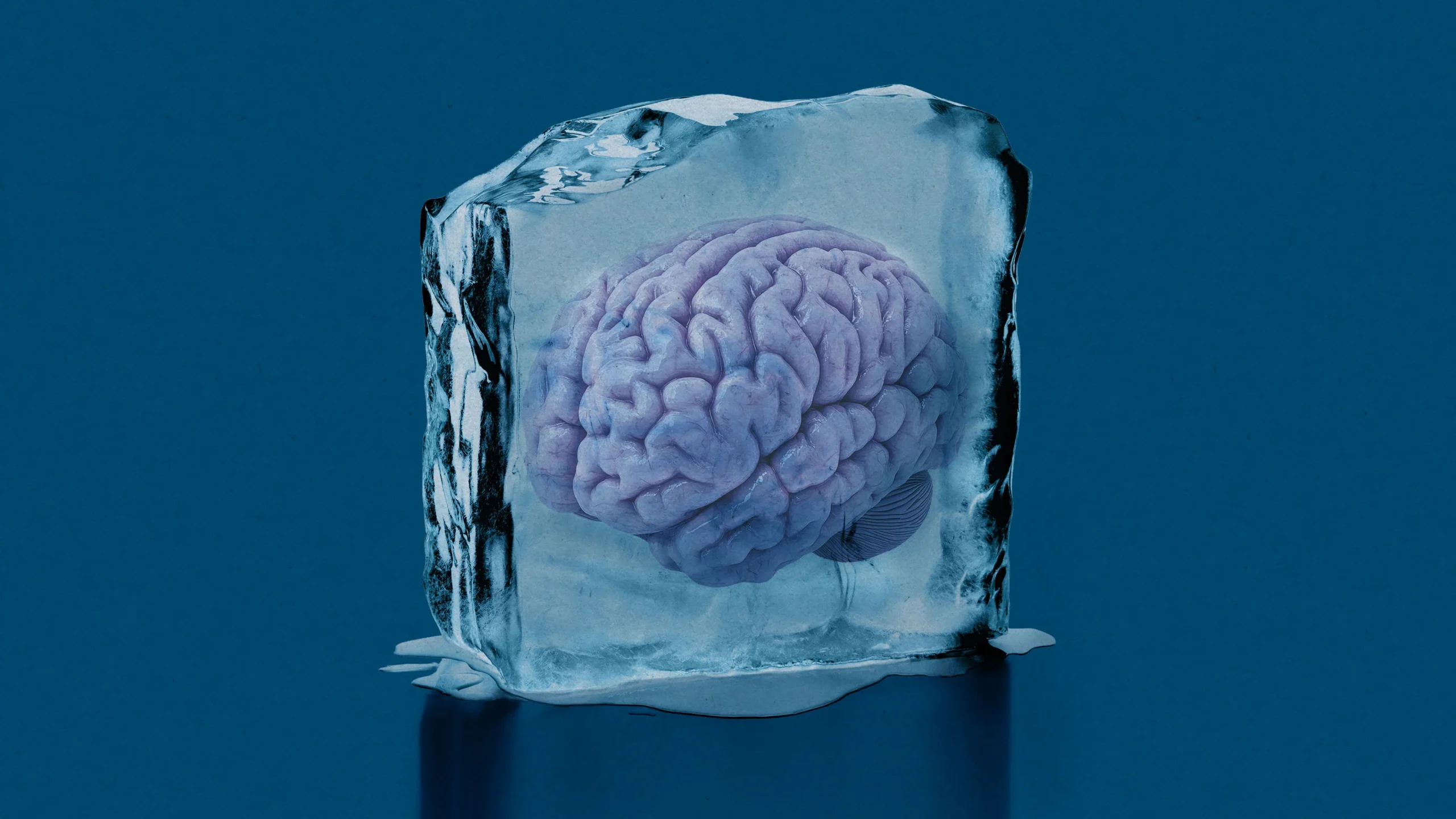 Brain Revival Race: Inside the Race to Reanimate Frozen Minds