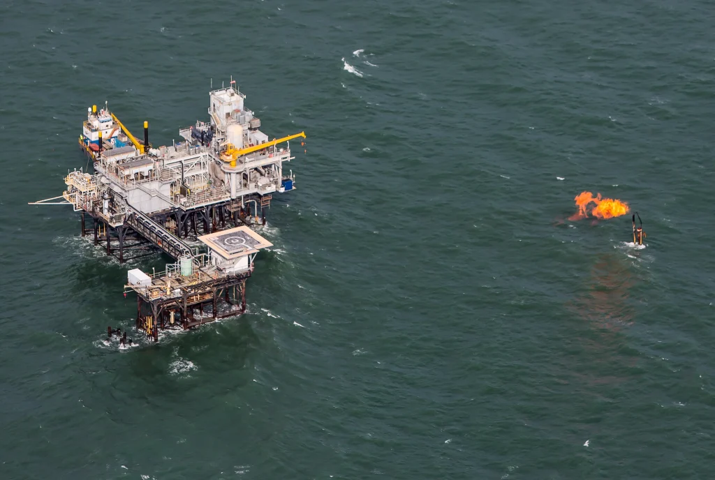 Trump Administration’s ‘God Squad’ to Decide Fate of Endangered Species in Gulf