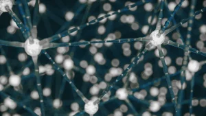 3D clitoris nerve mapping breakthrough