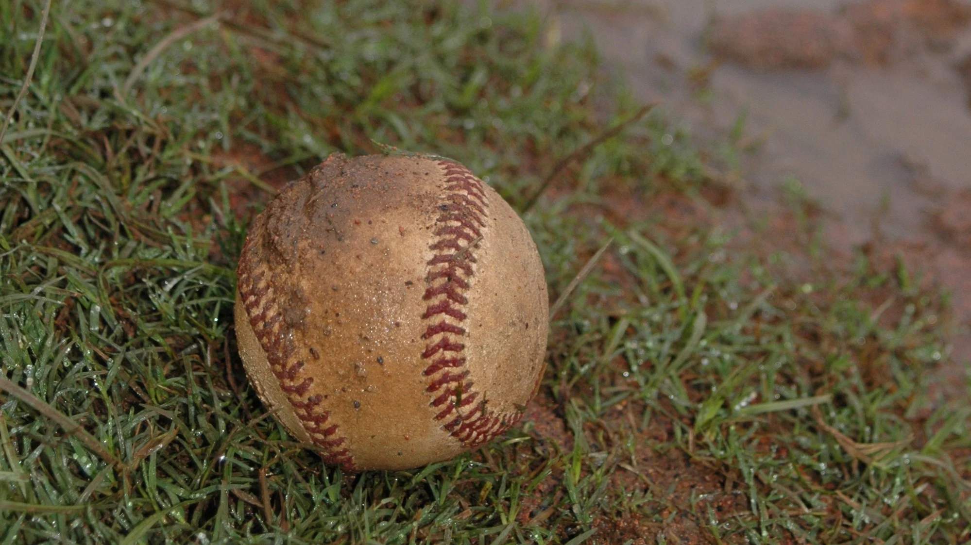 Catch Poem Captures Global Attention – Literary Phenomenon