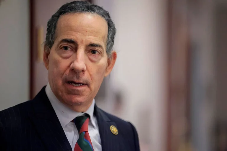 Jamie Raskin 25th Amendment briefing