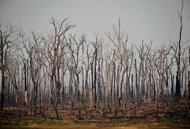 J.P. Morgan climate tipping points analysis