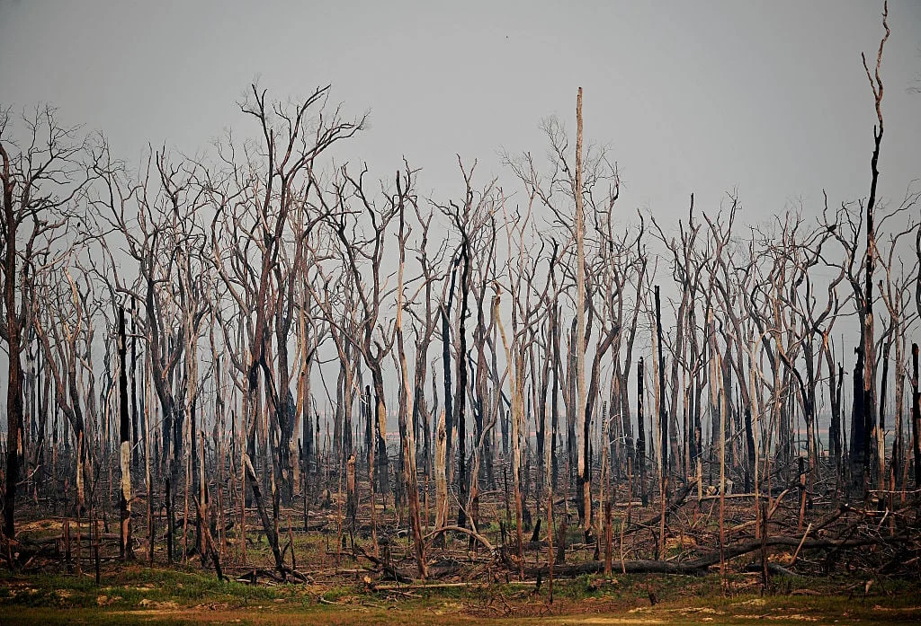 J.P. Morgan Signals New Approach to Climate Tipping Points
