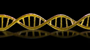 Mirror Life Threat Debate: Scientists Split Over Existential Risks