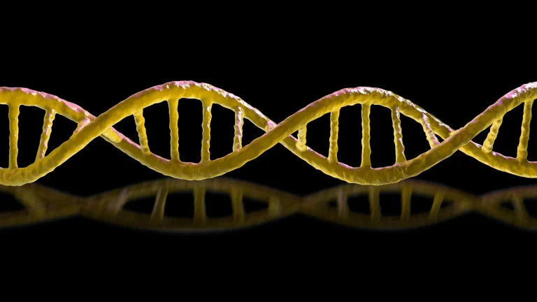 Scientists debating mirror life risks