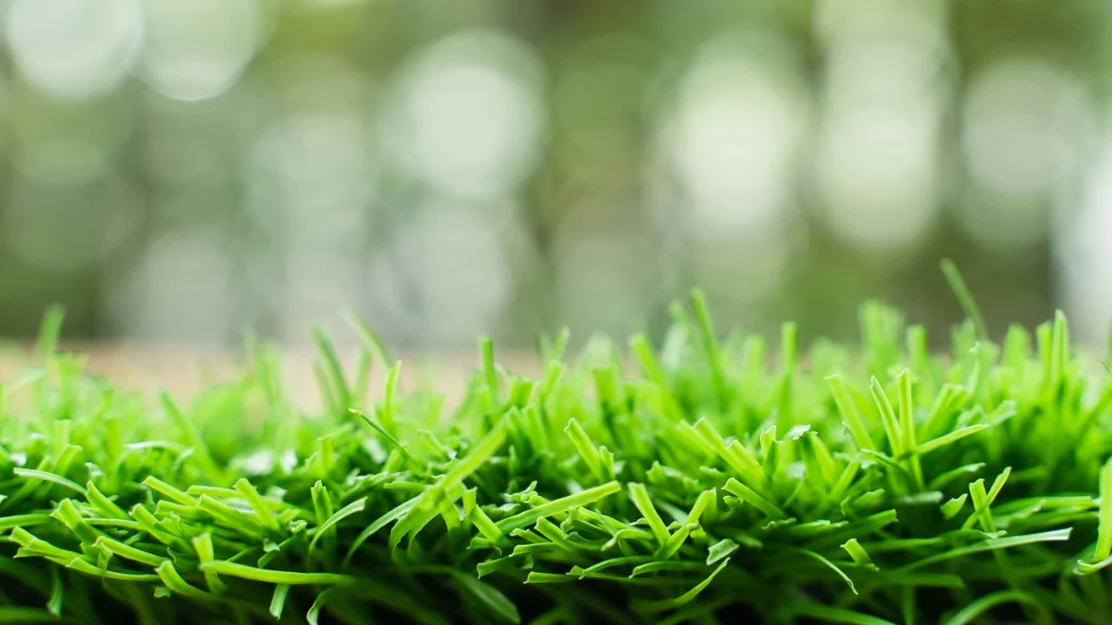 Synthetic Turf Boom Fuels Microplastic Debate as AI Compute Surges Exponentially