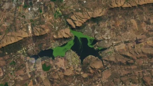 Toxic Green Algae Bloom Spreads Across South African Reservoir — Satellite Imagery Reveals Alarming Spread