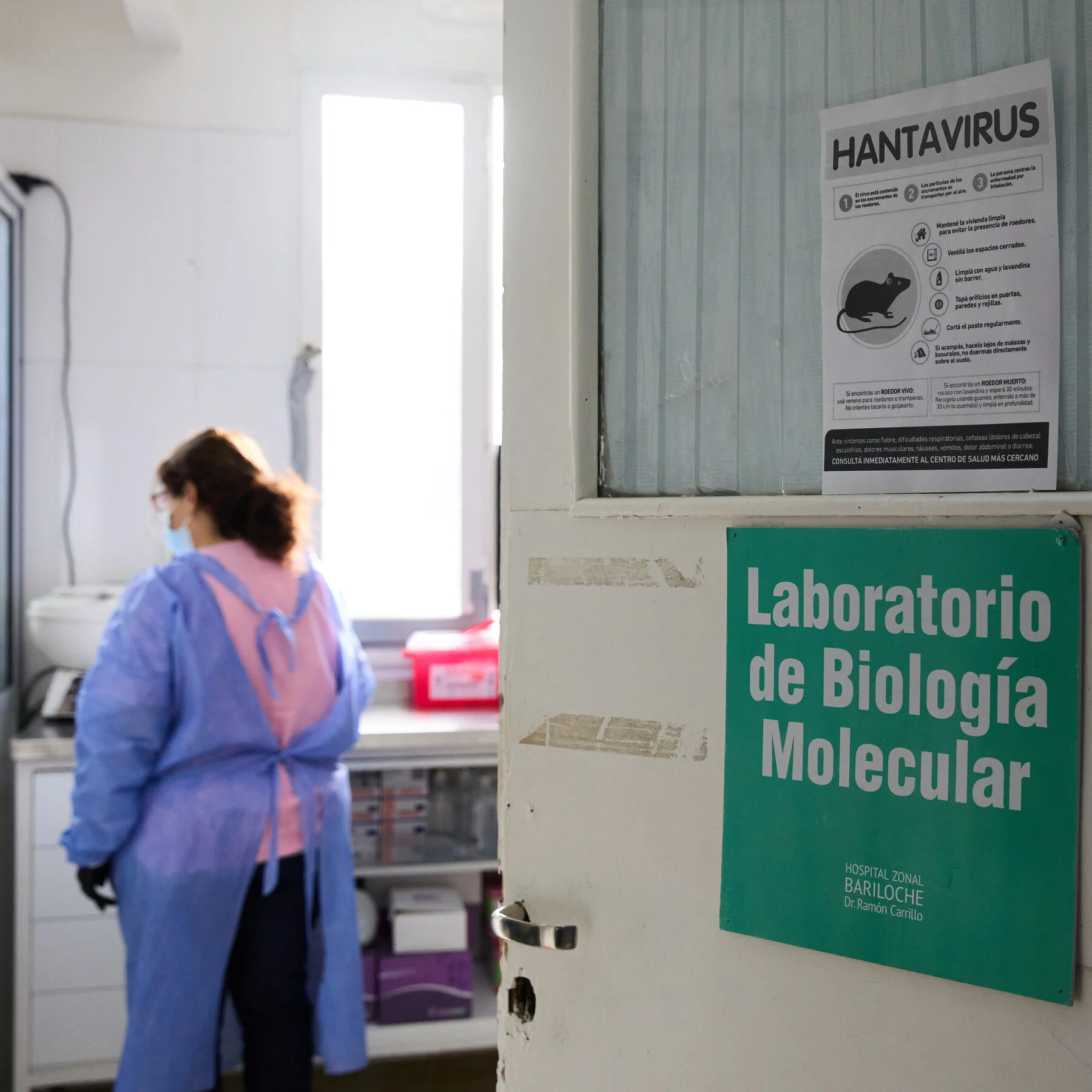Argentina Scrambles to Pinpoint Source of Hantavirus Outbreak