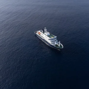 Hantavirus outbreak on cruise ship