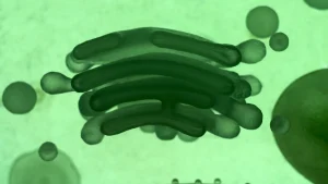 CIA DNA alien hybrid investigation