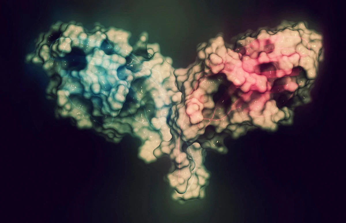 Protein-Folding AI Breakthrough: ESMFold2 Expands the Known Protein Universe