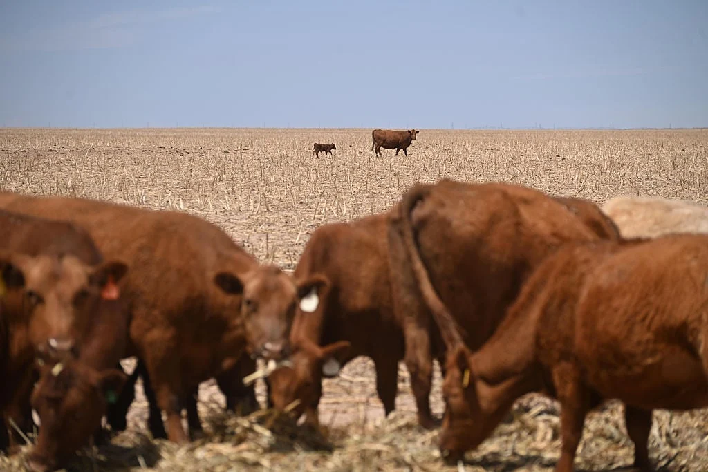 Spring Drought Threatens U.S. Crops – Worst on Record