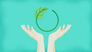 Global design sustainability insights