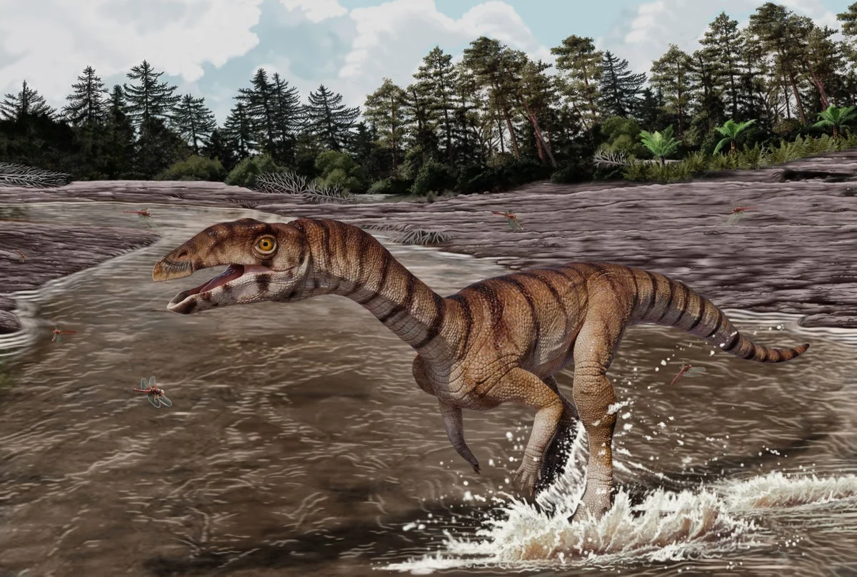 Toothless, Beaked and Bipedal: The Ancient bipedal crocodile Cousin That Stalked Earth 200 Million Years Ago