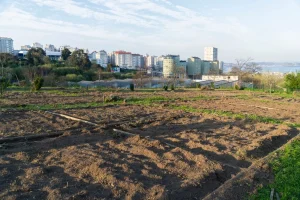 Urban farming rooftop garden Europe