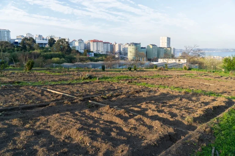 Urban farming rooftop garden Europe