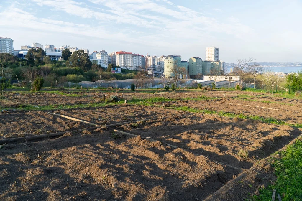 Urban Farming Could Feed Nearly 30% of Europe’s Fruit and Vegetable Demand, Study Shows