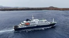 WHO chief calms Tenerife cruise