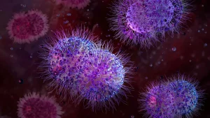 AI antibiotic clears gonorrhea chip