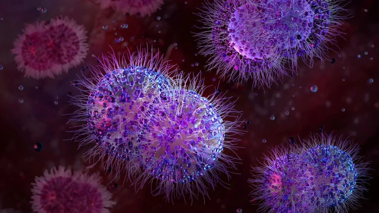 AI antibiotic clears gonorrhea chip