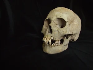Siberian ancient burial site DNA