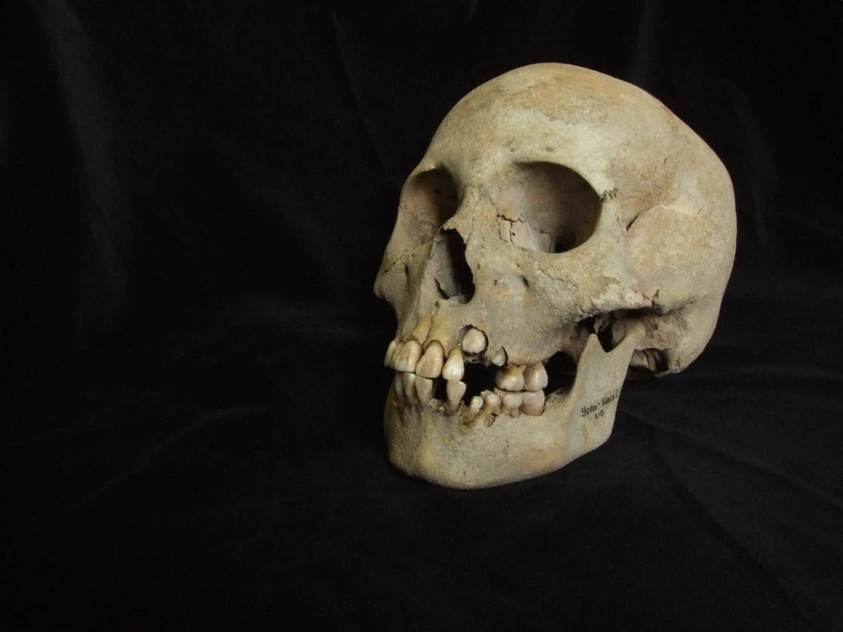 Ancient burial site may mark humanity’s earliest lethal plague outbreak