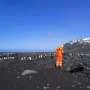 Australia H5 bird flu detection