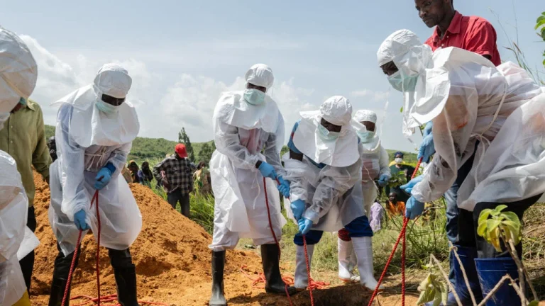 Brazil Ebola cases isolation news