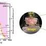 Breakthrough Stress-to-Light Conversion Using Rare-Earth-Free Zinc Oxide
