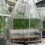 Climate change soybean production rise