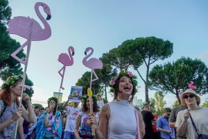 Protesters with flamingo signs at Albanian coast