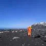 Heard Island H5 bird flu study