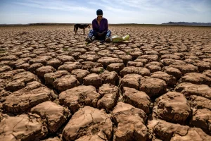 Super El Niño Poised to Surge: What Global Markets and Weather Systems Face