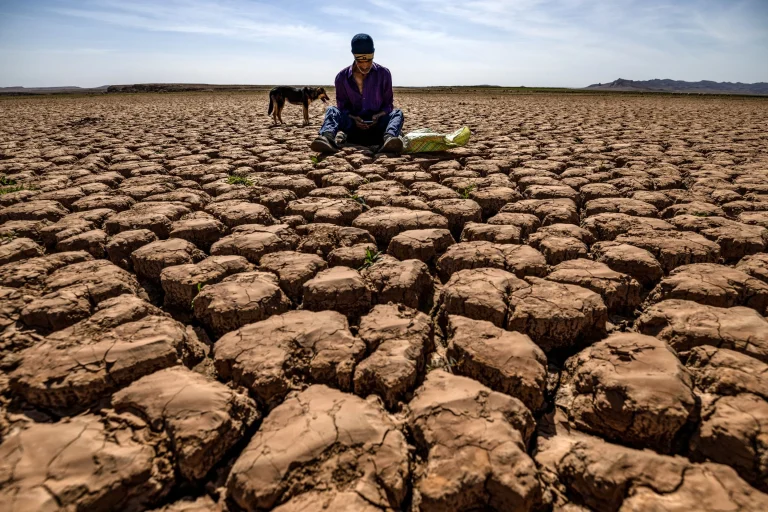 Super El Niño heatwave forecast
