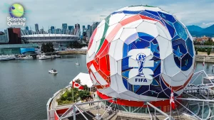 World Cup health surveillance stadium