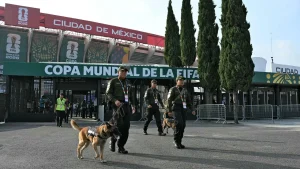 World Cup security buildout overview