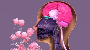 Anosmia impact on daily life