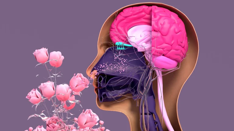 Anosmia impact on daily life