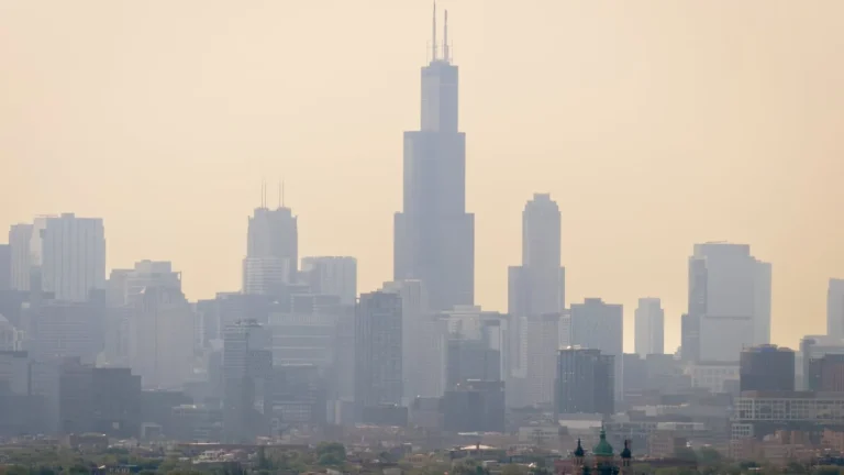 Top air purifiers for wildfire smoke