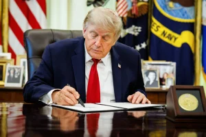 Trump income big player theory