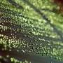 Genetic edit platform for plant compounds