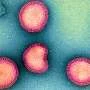 Viral protein library breakthrough
