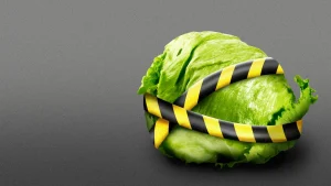 Cyclospora outbreak food safety crisis