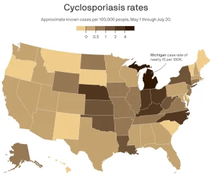Cyclosporiasis outbreak case map
