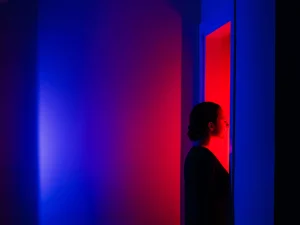 Consultants guiding AI policing