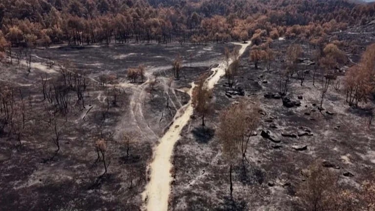 France wildfire hopeful day