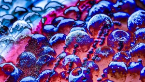 FDA frozen blueberry recall alert
