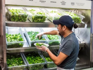 Salad chain drops iceberg lettuce