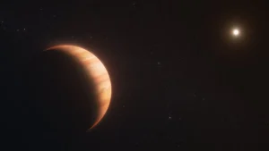 JWST view of Jupiter-size planet WD 1856 b