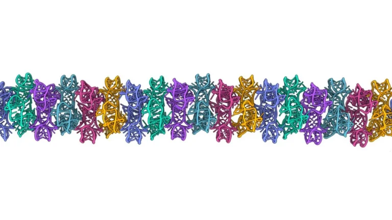 RNA world complex structures revealed